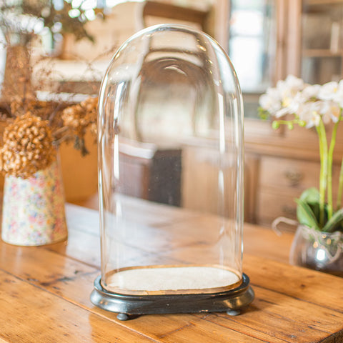 Slimline Antique Display Dome, English, Glass, Ornamental Showcase, Victorian