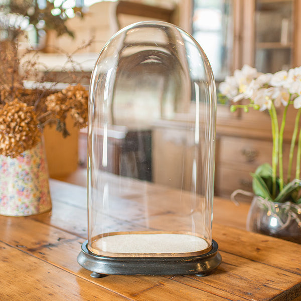 Slimline Antique Display Dome, English, Glass, Ornamental Showcase, Victorian