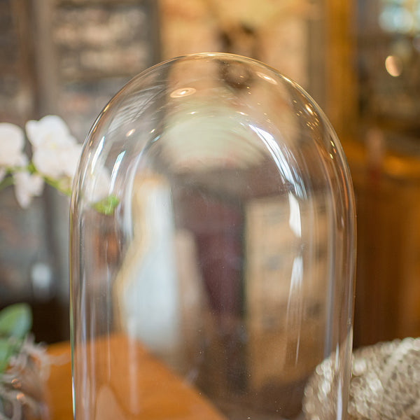 Slimline Antique Display Dome, English, Glass, Ornamental Showcase, Victorian
