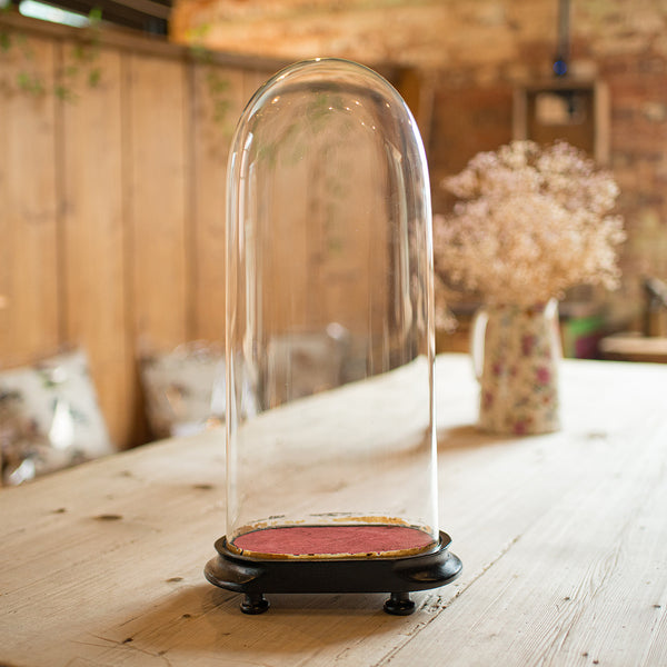 Antique Mantel Clock Dome, English, Glass, Taxidermy Showcase, Late Victorian