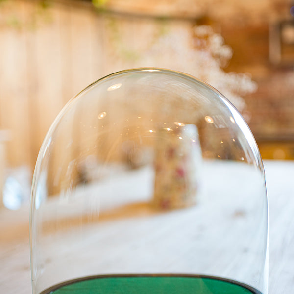 Wide Antique Clock Dome, English, Glass, Pine, Display Showcase, Victorian, 1860