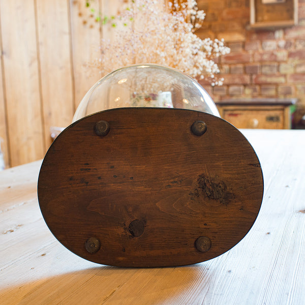 Wide Antique Clock Dome, English, Glass, Pine, Display Showcase, Victorian, 1860