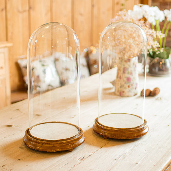 Pair Of Antique Display Domes, English, Glass, Taxidermy Showcase, Victorian