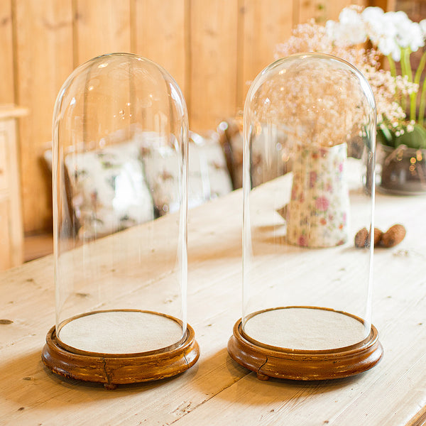 Pair Of Antique Display Domes, English, Glass, Taxidermy Showcase, Victorian