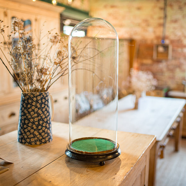 Tall Antique Taxidermy Dome, English, Glass, Pine, Display Case, Victorian, 1880