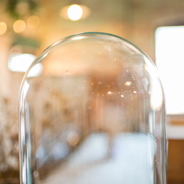 Tall Antique Taxidermy Dome, English, Glass, Pine, Display Case, Victorian, 1880