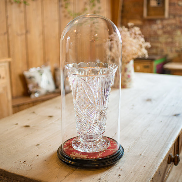 Tall Antique Collector's Dome, English, Glass, Ornament Showcase, Late Victorian