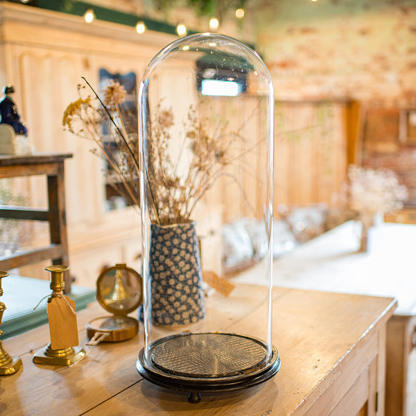 Tall Antique Taxidermy Showcase, English, Display Dome, Specimen Case, Victorian