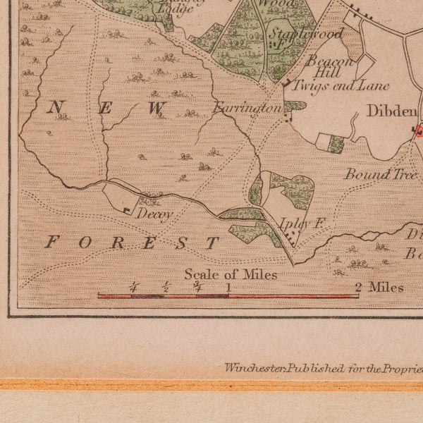 Antique Lithography Map, Environs of Southampton, English, Framed, Victorian