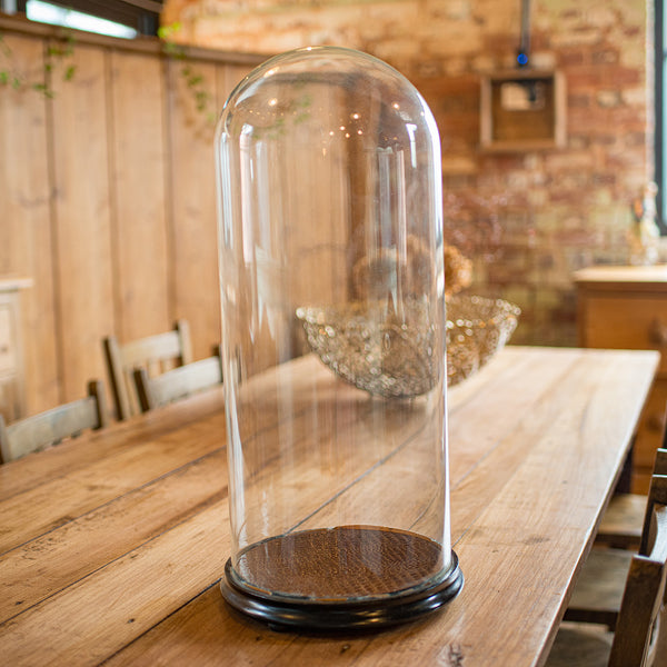 Large Antique Specimen Display Dome, English Taxidermy Showcase, Victorian, 1870