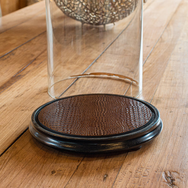 Large Antique Specimen Display Dome, English Taxidermy Showcase, Victorian, 1870