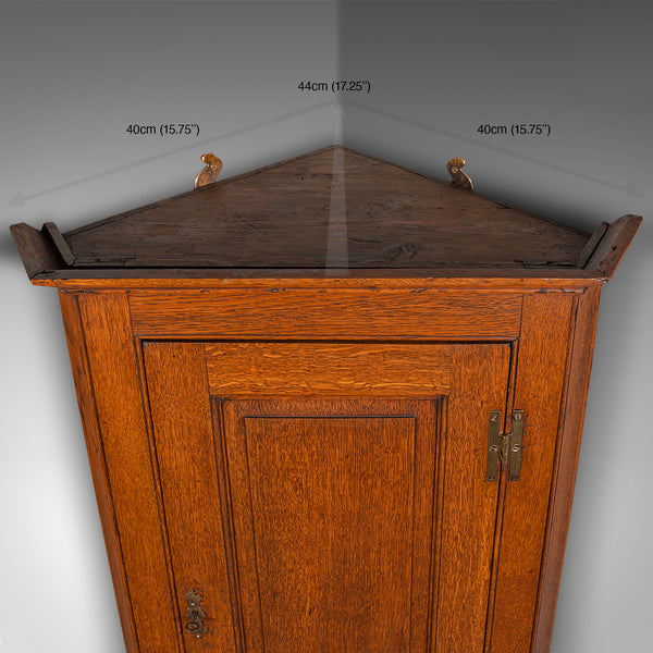 Tall Antique Corner Cabinet, English, Oak, 4 Shelf Wall Cupboard, Georgian, 1800