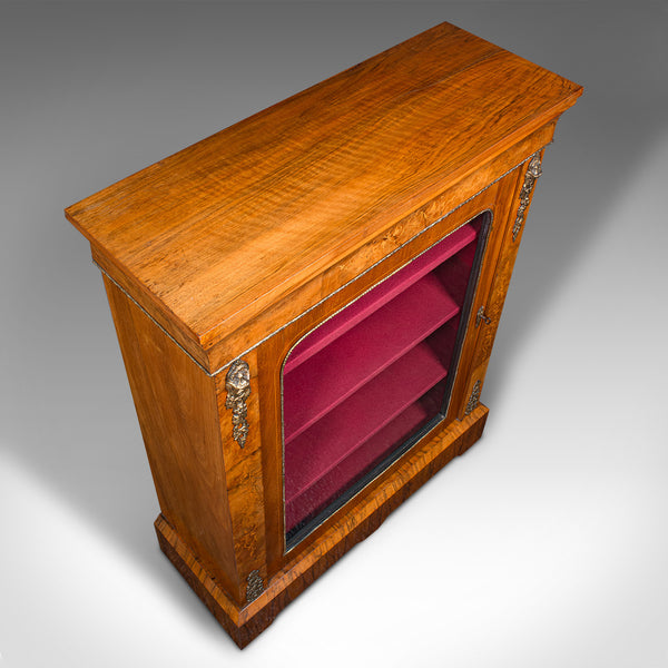 Antique Pier Cabinet, English Walnut, Glazed Bookcase, Display Cupboard, Regency