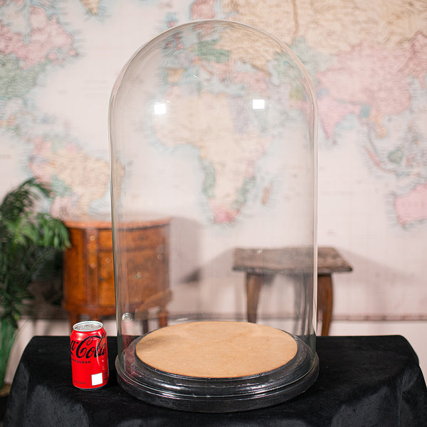 Large Antique Display Dome, English, Glass, Taxidermy Showcase, Victorian, 1850