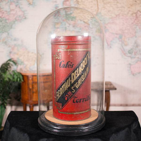 Large Antique Display Dome, English, Glass, Taxidermy Showcase, Victorian, 1850