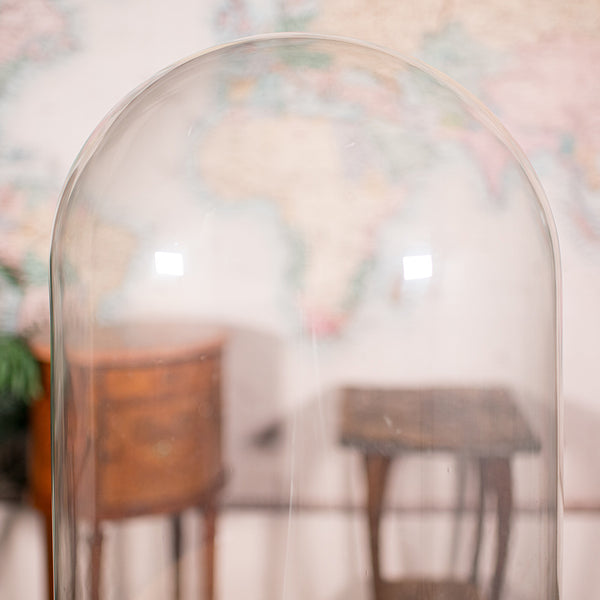 Large Antique Display Dome, English, Glass, Taxidermy Showcase, Victorian, 1850
