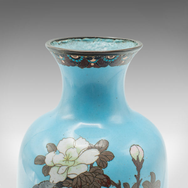Antique Pair Of Display Urns, Japanese, Cloisonne, Posy Vase, Meiji, Victorian