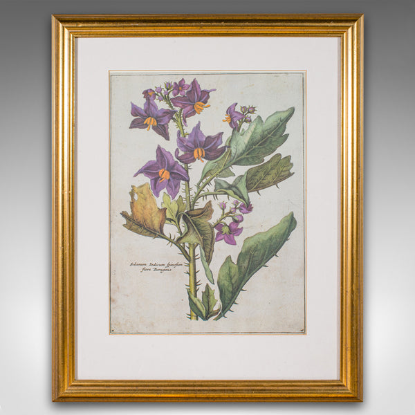 Set Of 4 Vintage Botanical Prints, English, Framed Engravings, Flower Art, Decor