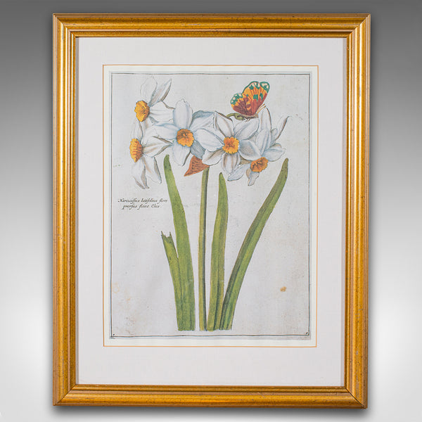 Set Of 4 Vintage Botanical Prints, English, Framed Engravings, Flower Art, Decor
