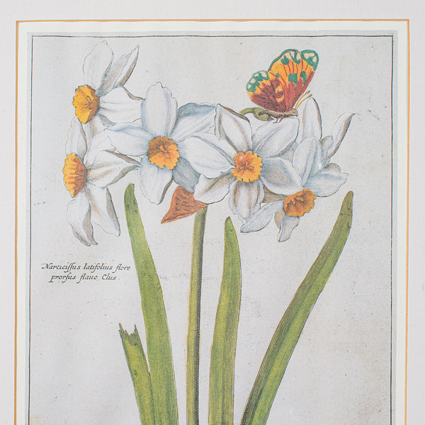 Set Of 4 Vintage Botanical Prints, English, Framed Engravings, Flower Art, Decor