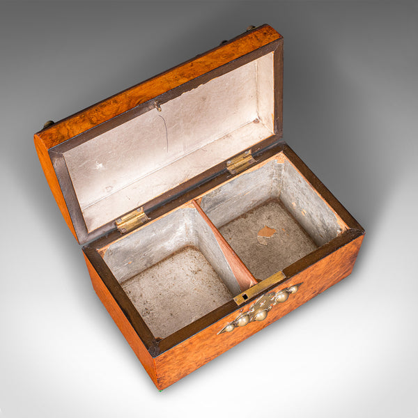 Antique Dome Top Tea Caddy, English, Burr Walnut, Box, Gothic Taste, Victorian