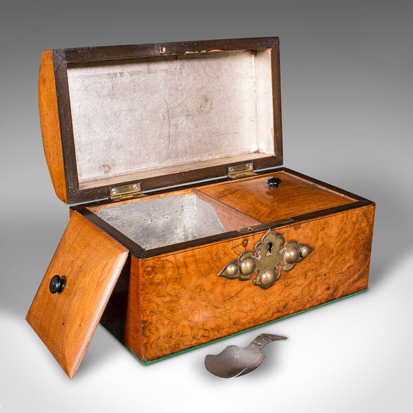 Antique Dome Top Tea Caddy, English, Burr Walnut, Box, Gothic Taste, Victorian
