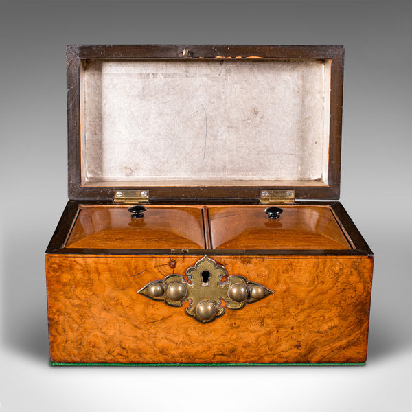 Antique Dome Top Tea Caddy, English, Burr Walnut, Box, Gothic Taste, Victorian