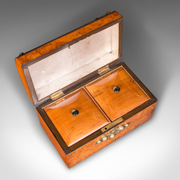 Antique Dome Top Tea Caddy, English, Burr Walnut, Box, Gothic Taste, Victorian