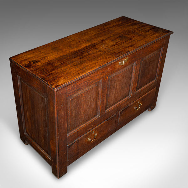 Large Antique 3 Panel Mule Chest, English Oak, Storage Trunk, Georgian, C.1770