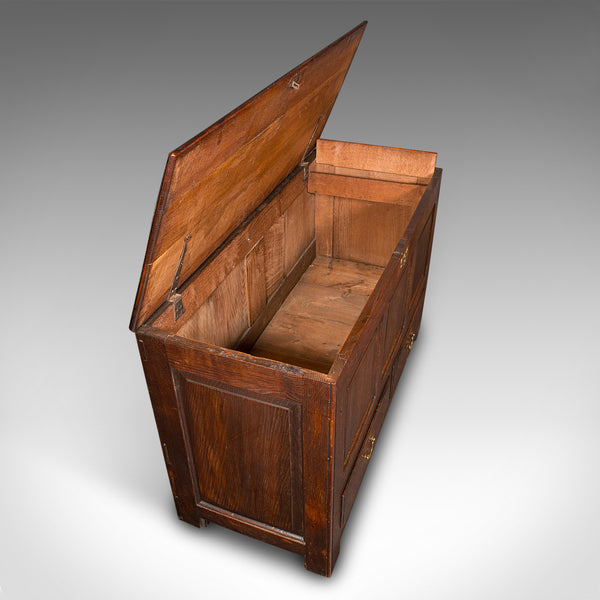 Large Antique 3 Panel Mule Chest, English Oak, Storage Trunk, Georgian, C.1770