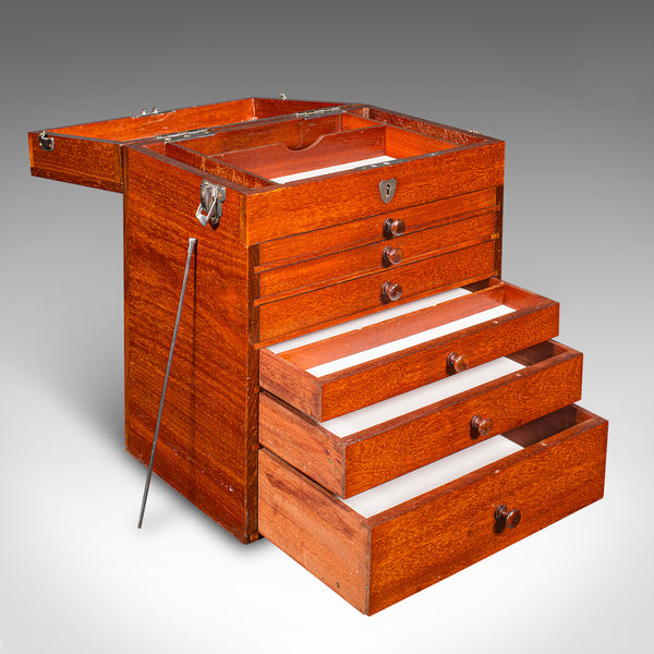 Antique Specimen Collector's Chest of Drawers, English, Artist's Case, Edwardian