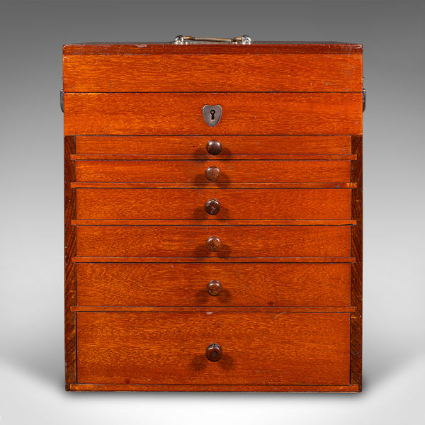 Antique Specimen Collector's Chest of Drawers, English, Artist's Case, Edwardian