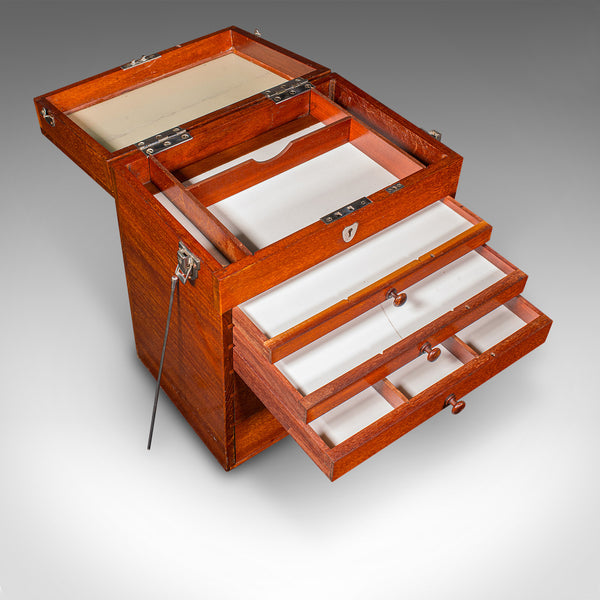 Antique Specimen Collector's Chest of Drawers, English, Artist's Case, Edwardian