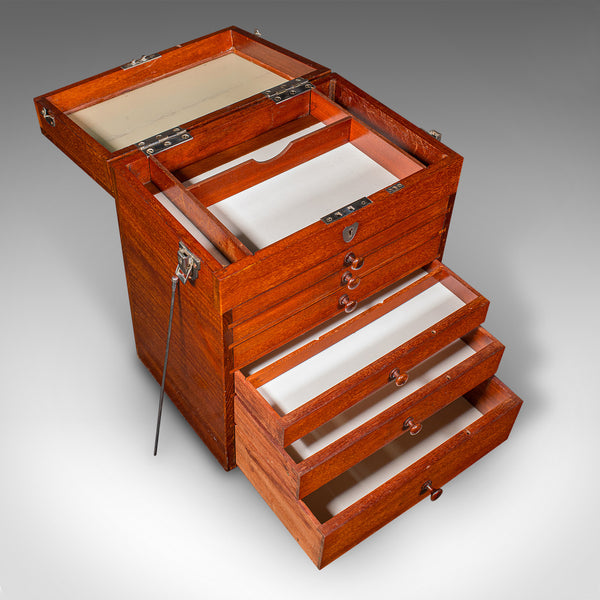 Antique Specimen Collector's Chest of Drawers, English, Artist's Case, Edwardian