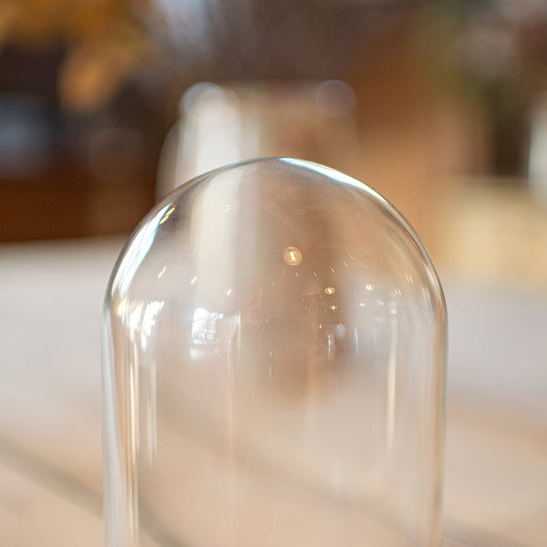 Small Antique Display Dome, English, Glass, Oak, Taxidermy, Showcase, Edwardian