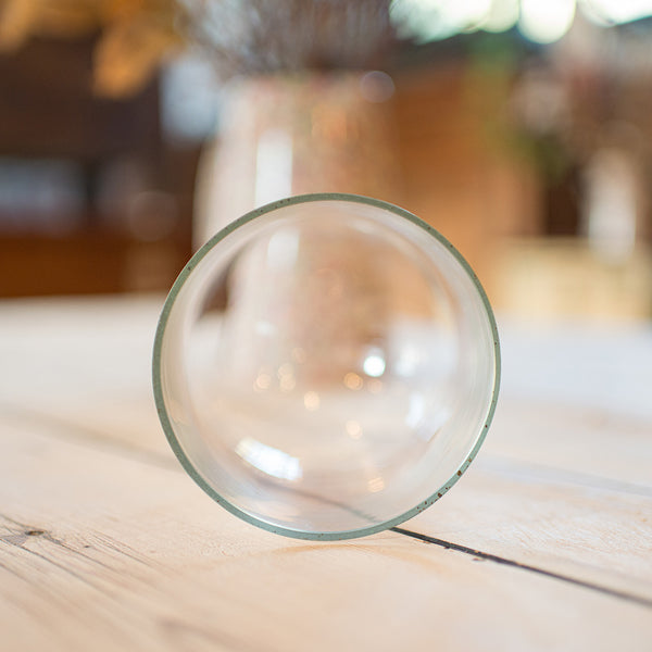 Small Antique Display Dome, English, Glass, Oak, Taxidermy, Showcase, Edwardian