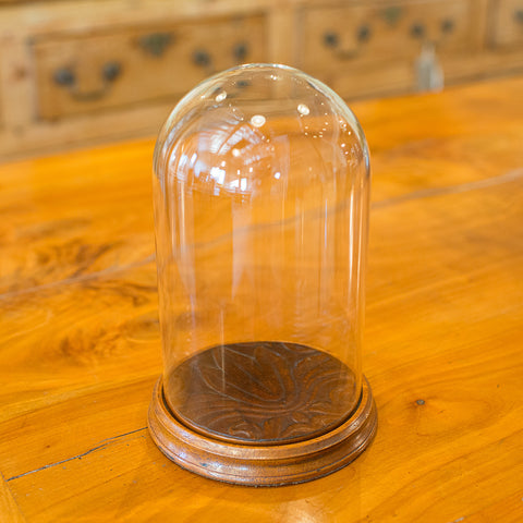 Small Vintage Display Dome, English Glass Showcase, Mid 20th Century, Circa 1950