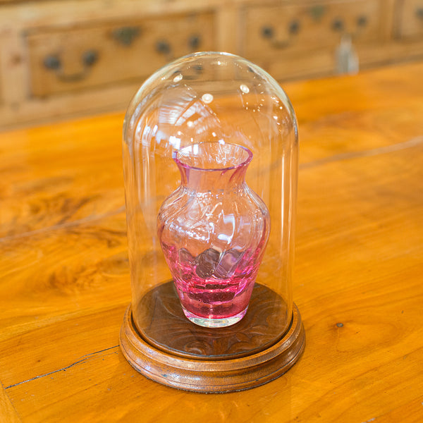 Small Vintage Display Dome, English Glass Showcase, Mid 20th Century, Circa 1950