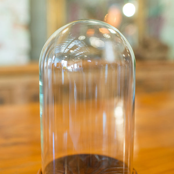 Small Vintage Display Dome, English Glass Showcase, Mid 20th Century, Circa 1950