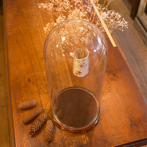 Tall Antique Taxidermy Dome, English, Glass, Collector’s Display, Late Victorian