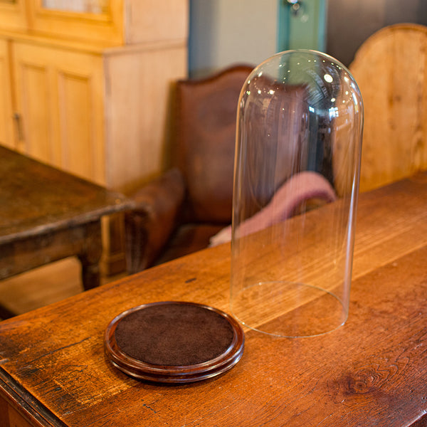 Tall Antique Taxidermy Dome, English, Glass, Collector’s Display, Late Victorian