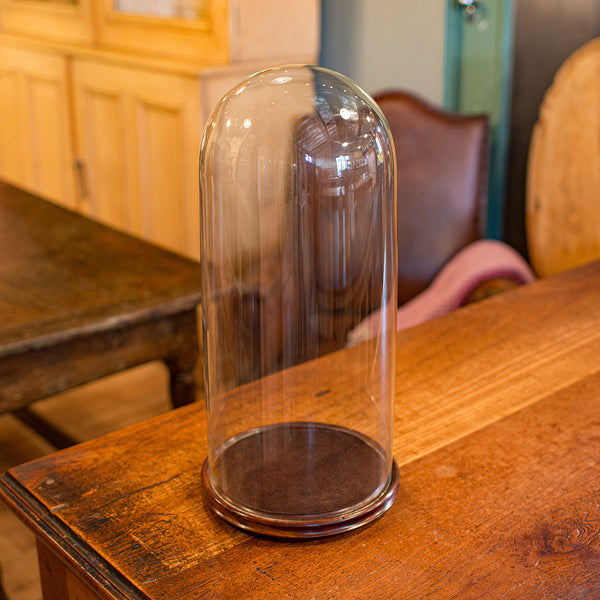 Tall Antique Taxidermy Dome, English, Glass, Collector’s Display, Late Victorian