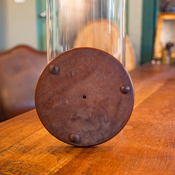 Tall Antique Taxidermy Dome, English, Glass, Collector’s Display, Late Victorian