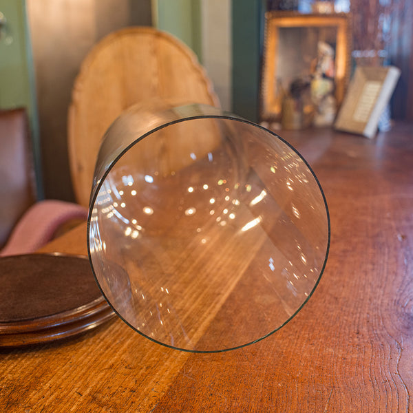 Tall Antique Taxidermy Dome, English, Glass, Collector’s Display, Late Victorian