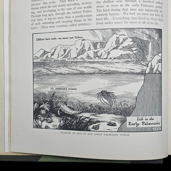 Antique, 2 Vols, HG Wells, The Outline Of History, Reference Book, Circa 1920