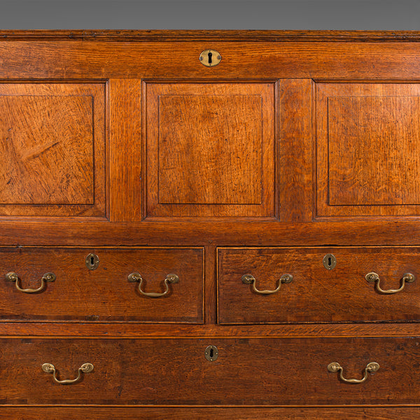 Large Antique Mule Chest, Georgian, Oak, Coffer Over Three Drawers, Circa 1780