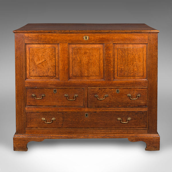 Large Antique Mule Chest, Georgian, Oak, Coffer Over Three Drawers, Circa 1780