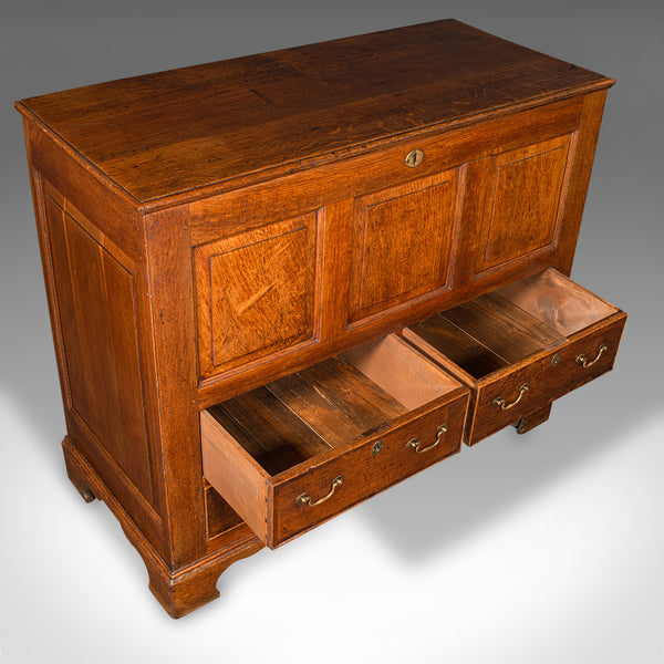 Large Antique Mule Chest, Georgian, Oak, Coffer Over Three Drawers, Circa 1780