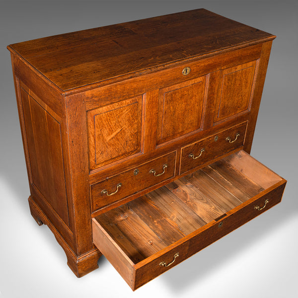 Large Antique Mule Chest, Georgian, Oak, Coffer Over Three Drawers, Circa 1780