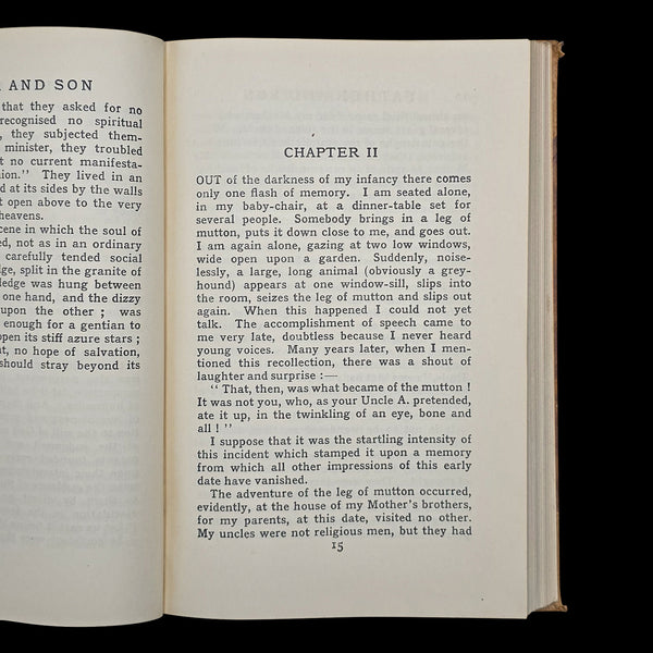 Vintage Book, Father And Son, Edmund Gosse, Memoir, Literary Classic, Circa 1935